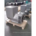 Hohe Qualität 160 Kw / 200kVA China Stamford Lichtmaschine (JDG274H)